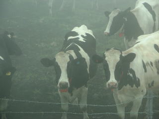 ���`�`�`�`�`�`�`��