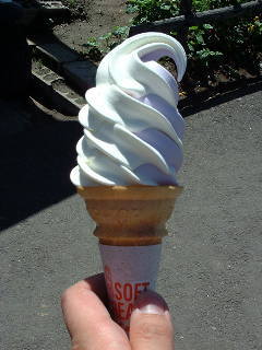 �H�ׂ�ƌ��̒��ɖF���܂��������݂����B