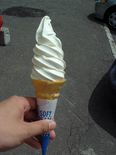 ��Ԃ̂��C�ɓ���