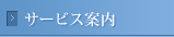 �T�[�r�X�ē�
