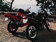 WTgDm