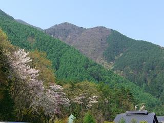 ��������