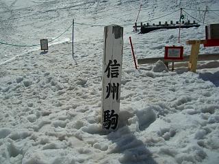 �X�m�{���Ă���