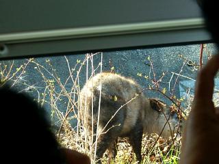 ����̃o�X�̒���