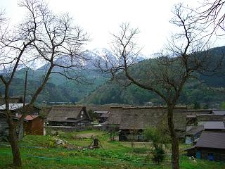 �΂����ꂢ