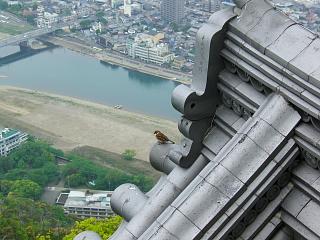 �ቺ�ɍL����򕌎s