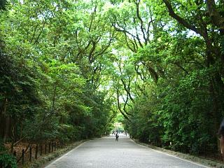 ��R�����Ƒ�Q�����̊�