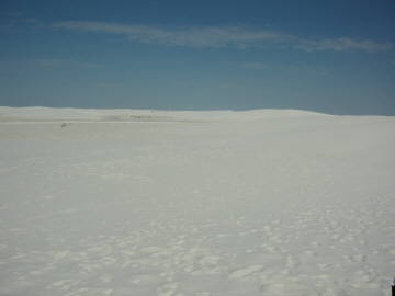 ��ʔ����I