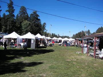 ���͊���