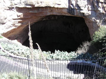 ���͒�������