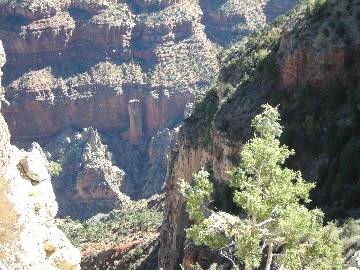 �߂��̂��̂��ʂ��Ă݂�B