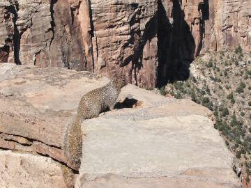 ���킢���Ȃ��񂾁A������