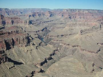 �����ɂ��������Ȃ��H