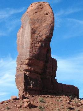 �e�w���Ă��Ƃ�