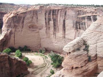 �ǂɒ���t���Ă܂�