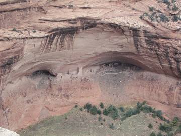 �~�C���ł�����������ł��傤���H