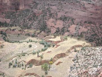 ����ł���������