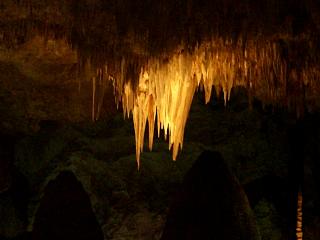 �Y��Ȋ���