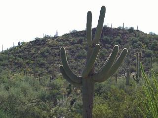 �}������