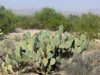 �T�{�e���Q