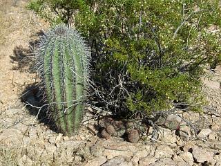 �T�{�e���R