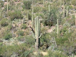 �T�{�e���S