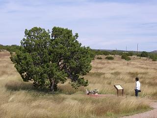 �m���̂���