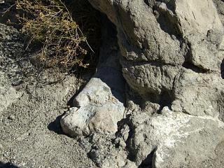 ����Ȃ̂������Ă�