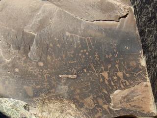 �l�C�e�B�u�A�����J��