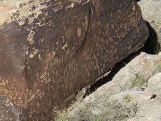 ���������ۂ�