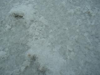 ������ς�����