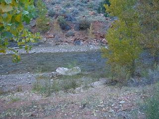 �J�ԂȂ̂ňÂ�