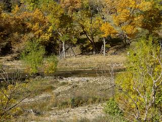 ����̂�