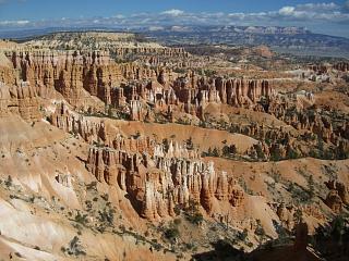 �Ԃ������Ă܂�