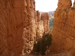 ���ɐl�����邯�ǁA��������