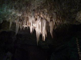 �ɂ��������