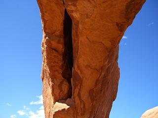 �o�肽���B