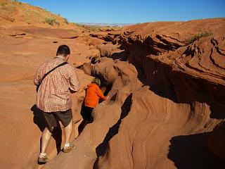 ���̊ό��q�������Ă���