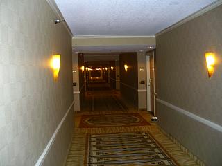 �{�C�Œ����I