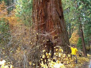 �ł�����