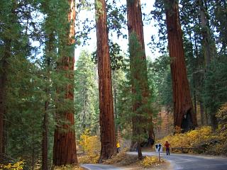 ����ł��