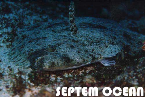 �q����