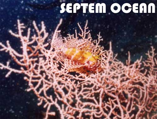 �q�����}�m�J�~