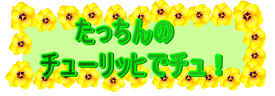 t@~[ @@XCX؍݋L