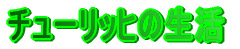 `[bq̐
