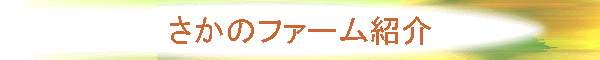 ̃t@[Љ