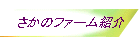 ̃t@[Љ