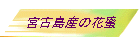 {ÓỶԖ