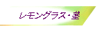 OXEs