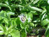 10Epsn0010_0827_1.jpg (189505 バイト)